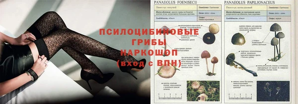 дживик Арсеньев