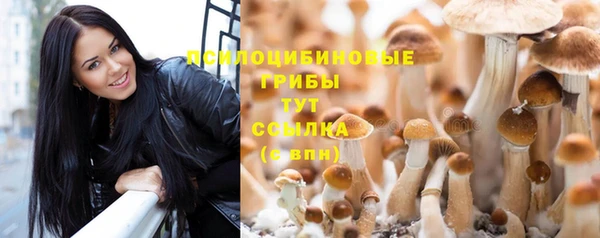 амф Аркадак