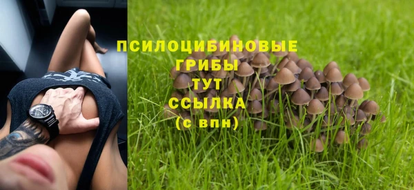 амф Аркадак