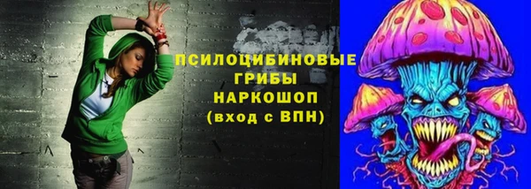 дживик Арсеньев