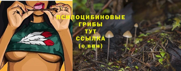 амф Аркадак