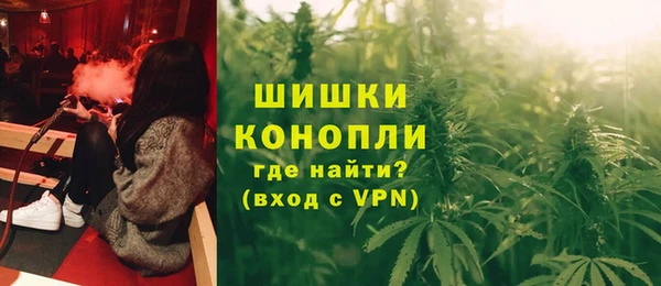 амф Аркадак