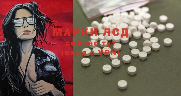 амф Аркадак