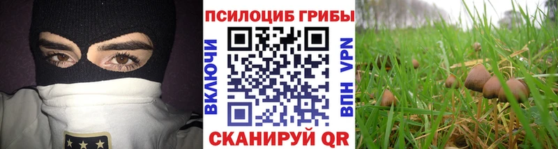 магазин  наркотиков  Сосногорск  Галлюциногенные грибы MAGIC MUSHROOMS 