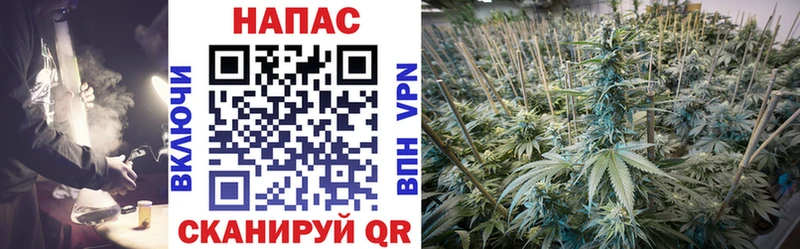 KRAKEN вход  Сосногорск  Каннабис конопля 